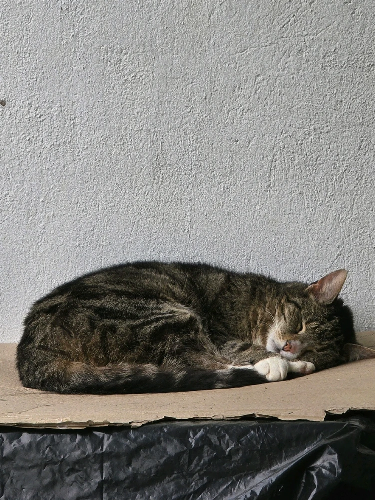 Bild hochgeladen von Klaus