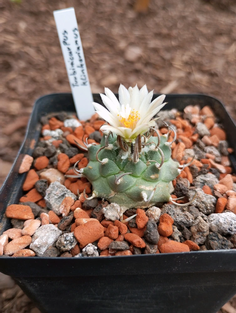 Bild hochgeladen von Robin