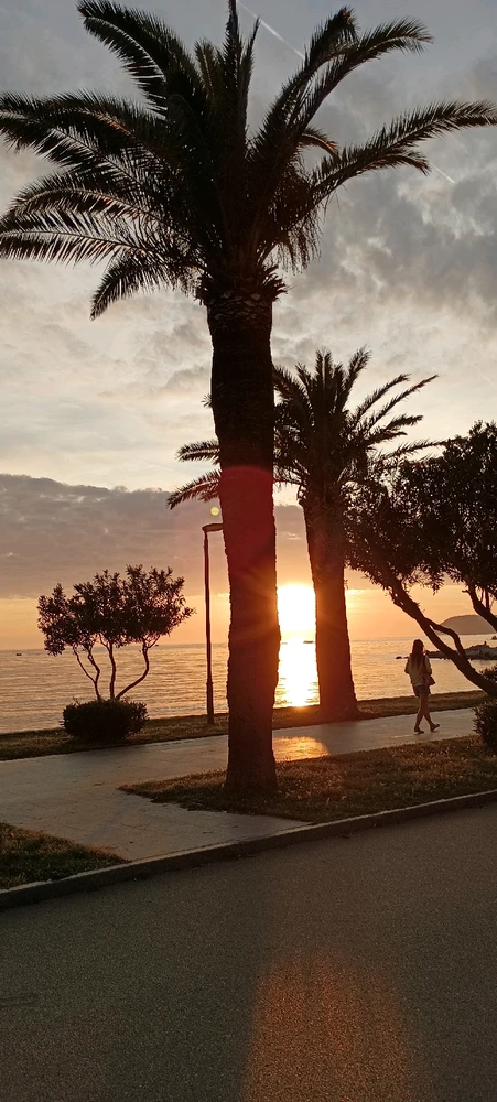 Sliku je postavio/la Jack