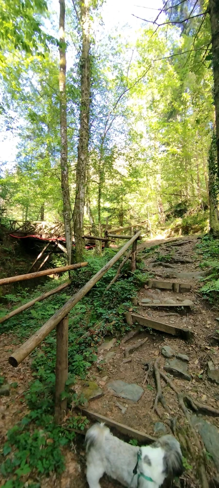 Sliko je naložil Dejan