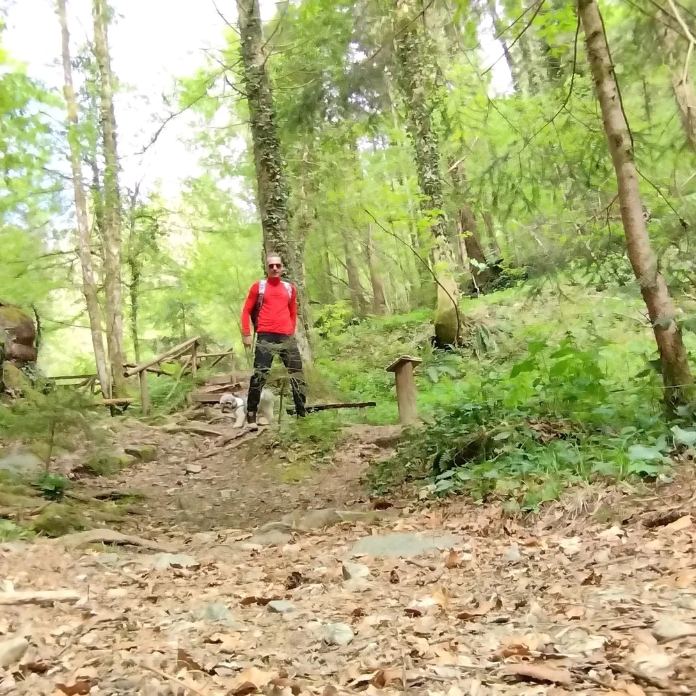 Sliko je naložil Dejan