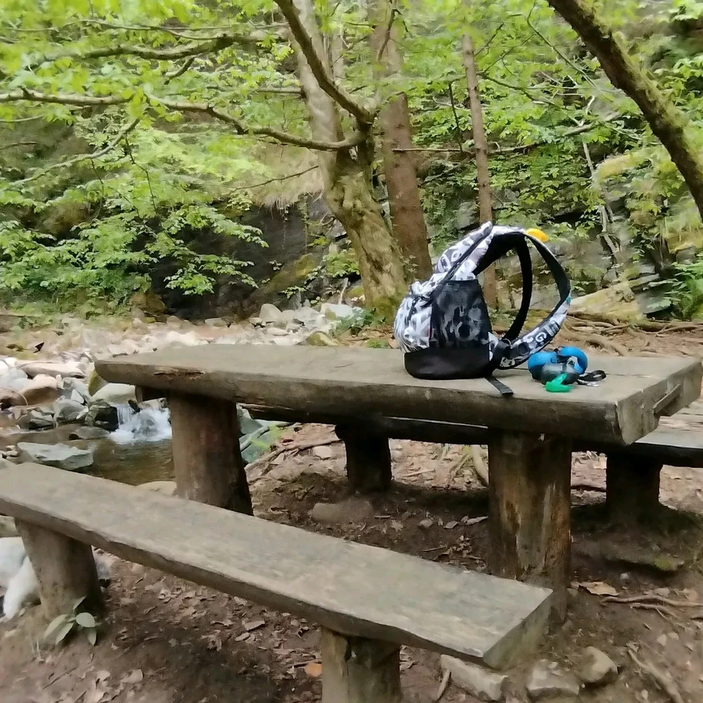 Sliko je naložil Dejan