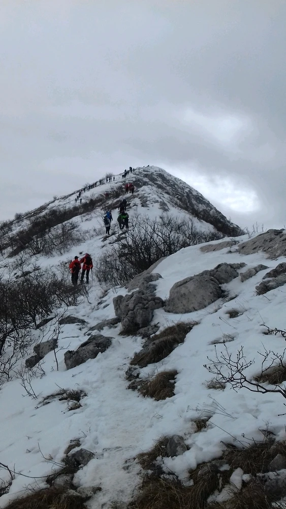 Sliko je naložil Dejan