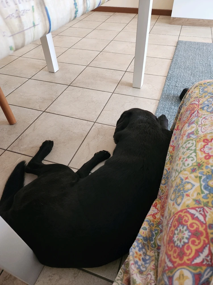 Immagine caricata da Cesar