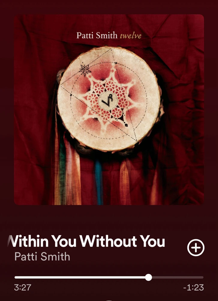 Obrázek nahrál Irónia