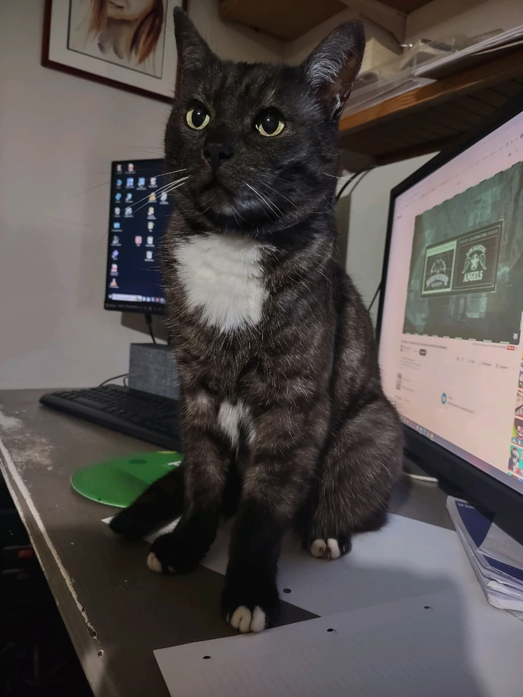 Afbeelding geüpload door Kevin