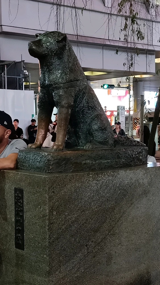 Image of statue of Hachikō the dog, next to Shibuya Scramble Square! This stone statue is a symbol of loyalty across Japan!