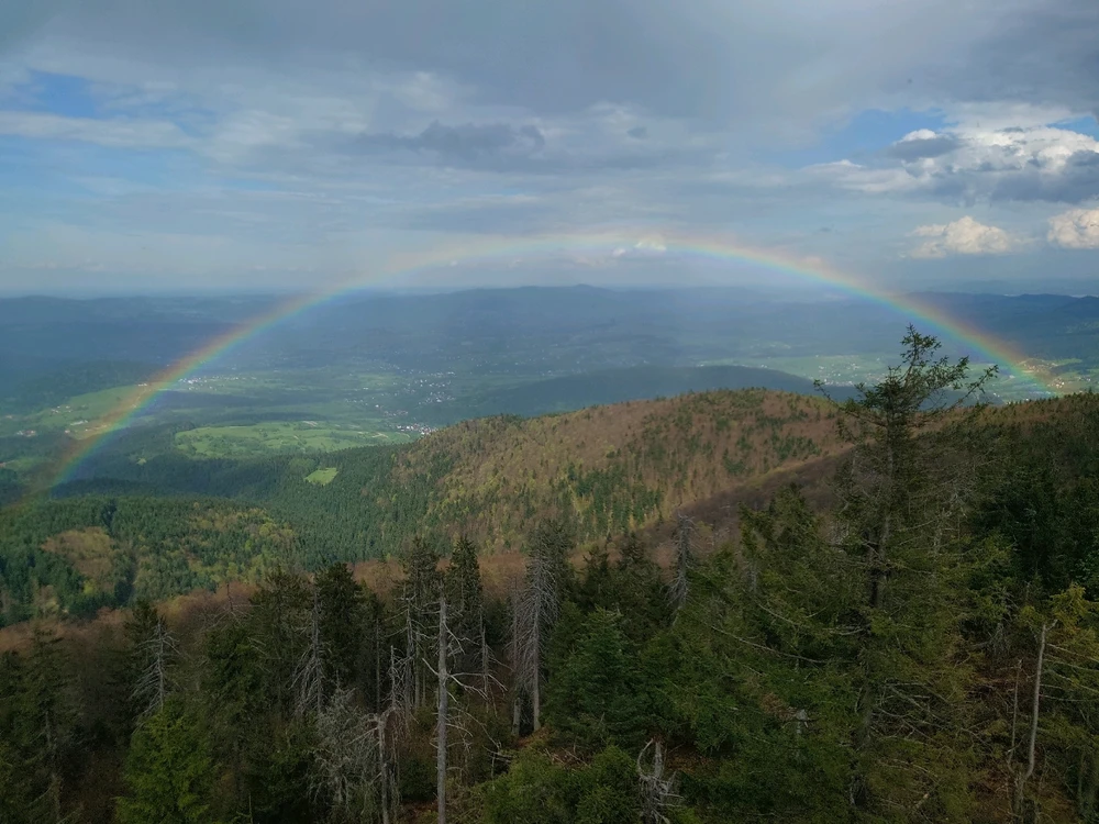 Зображення завантажив Andriy