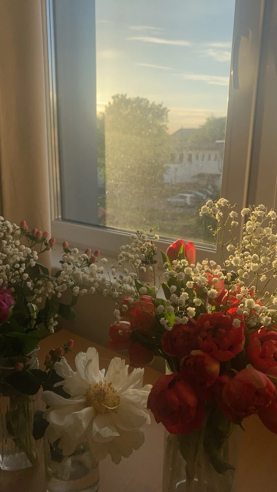 Different kind of flowers tulips and Peonys in violet Burgundy and orange to Red. Behind them my window