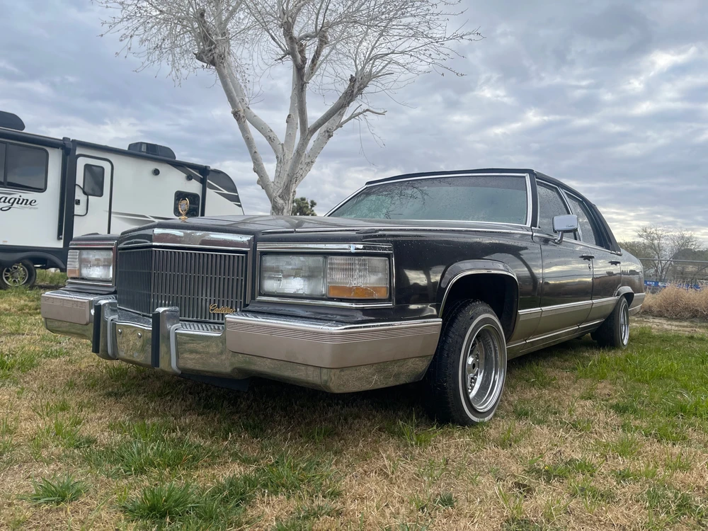 Image uploaded by David