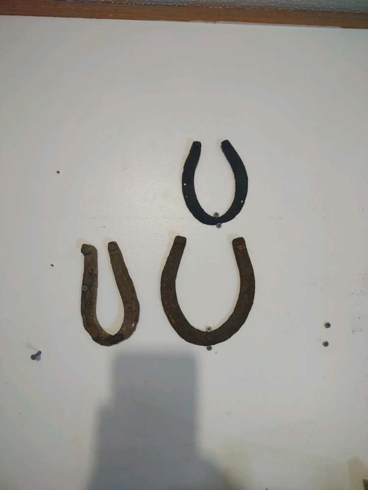 Image uploaded by David