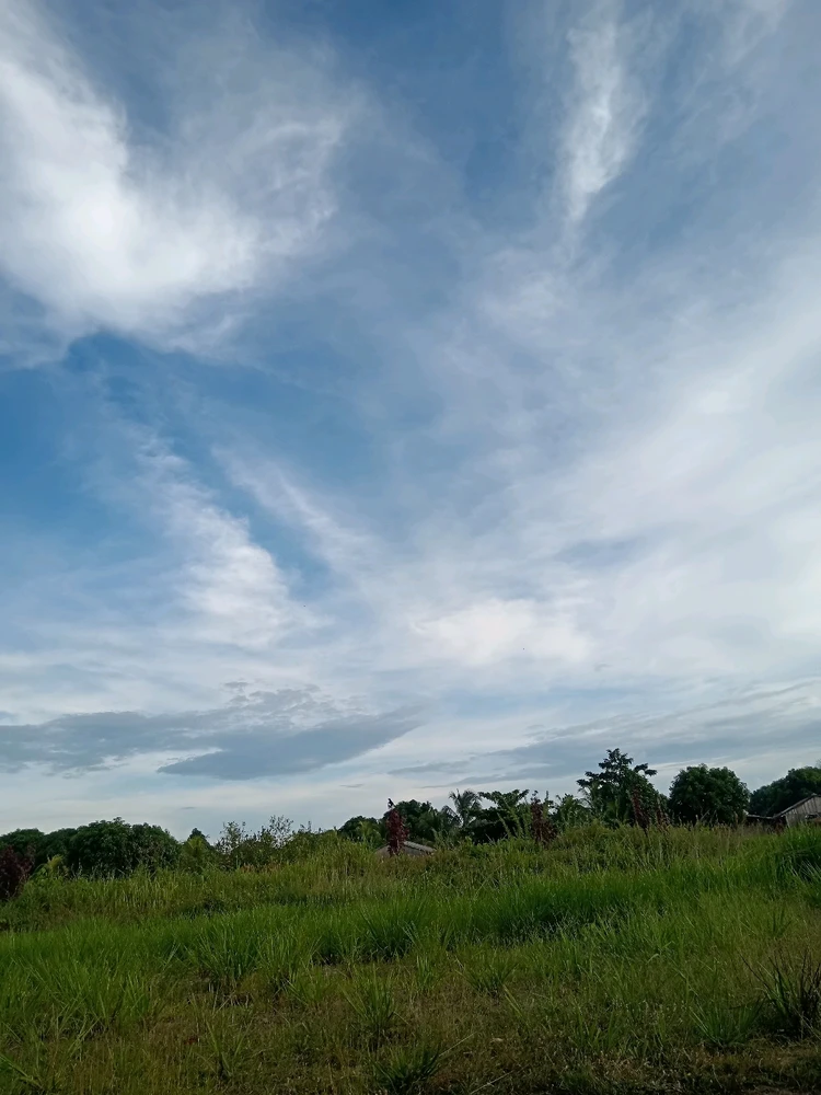 Imagen subida por Lucy