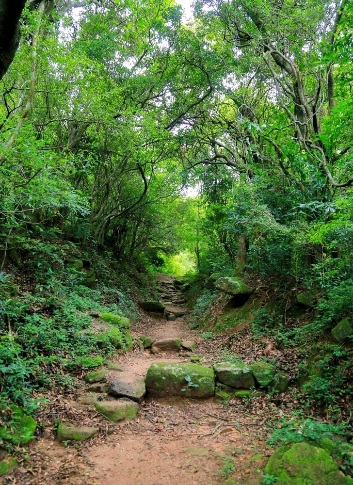 Image uploaded by Peony