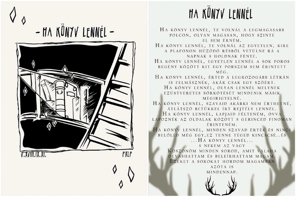 PandaMerga által feltöltött kép