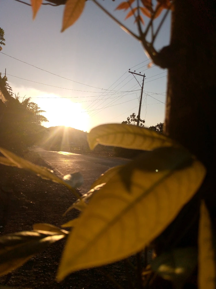 Image uploaded by Rhen