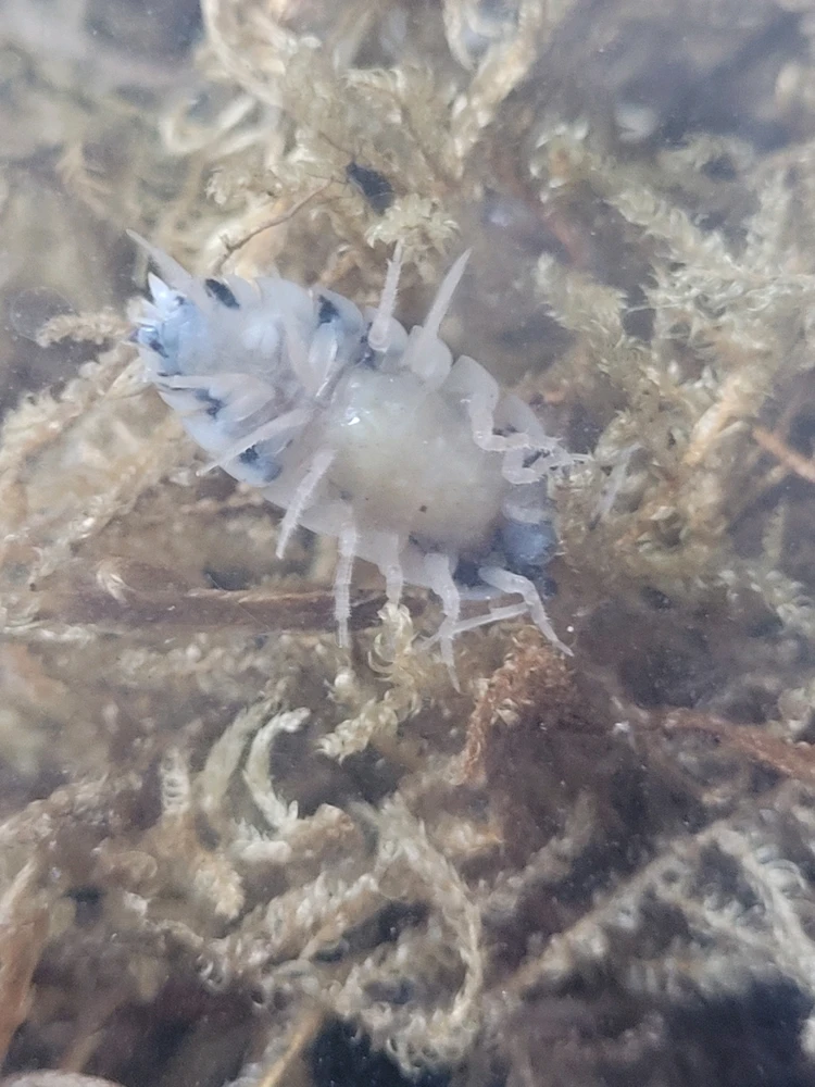 Image uploaded by Matthew Kobak