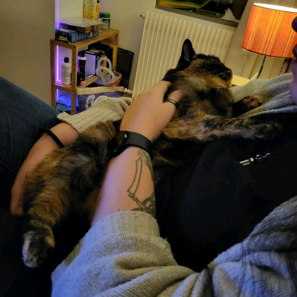 Image ajoutée par Elodie