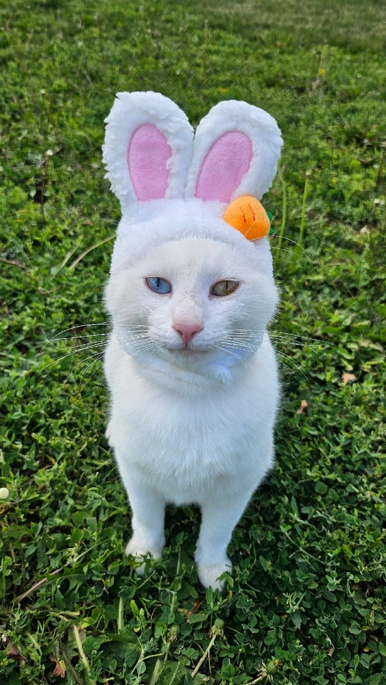 Image uploaded by Lorena