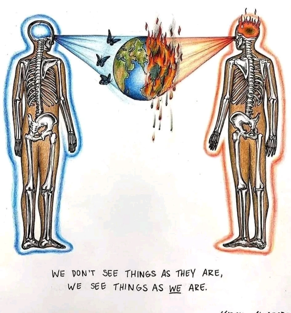 Afbeelding geüpload door Dominic van Oort
