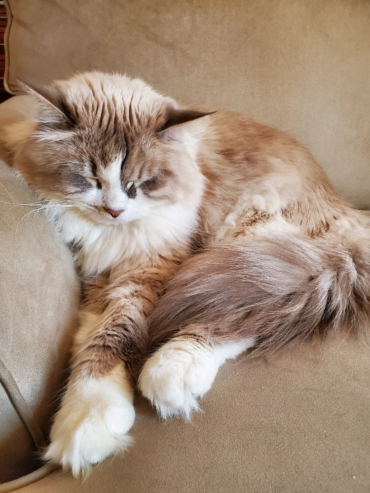 Image uploaded by Shihab Shahidullah