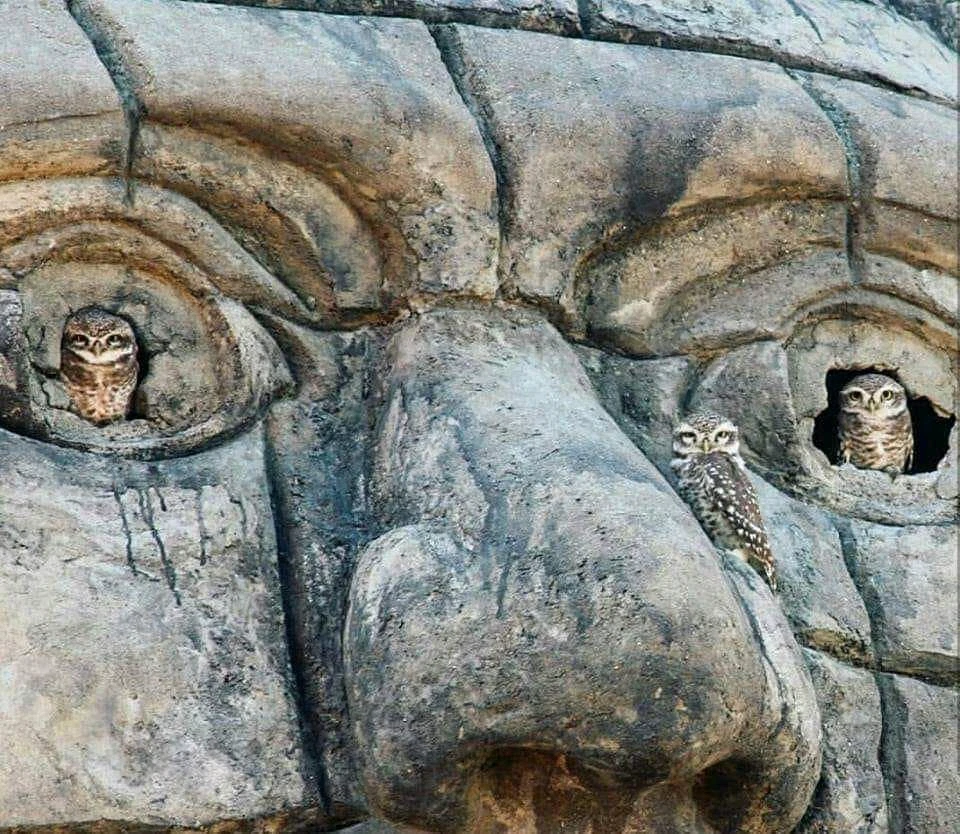 Image uploaded by Rob Arguijo