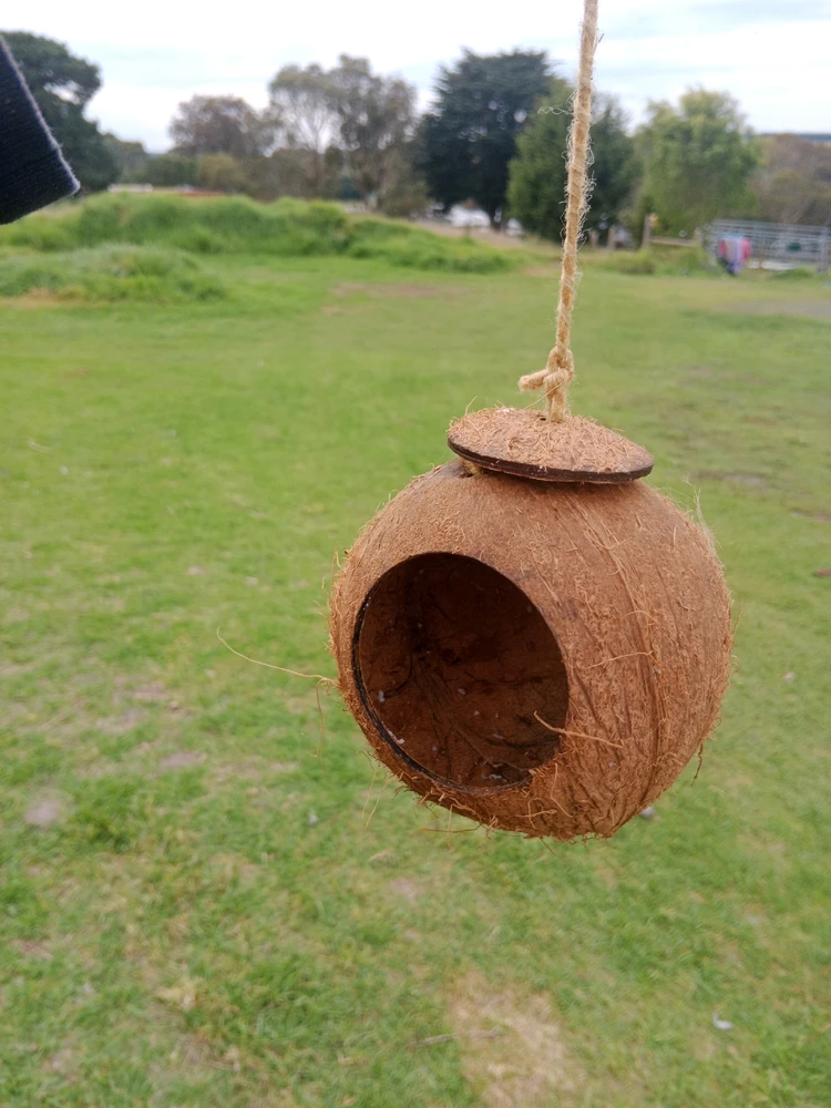 Image uploaded by Ryan