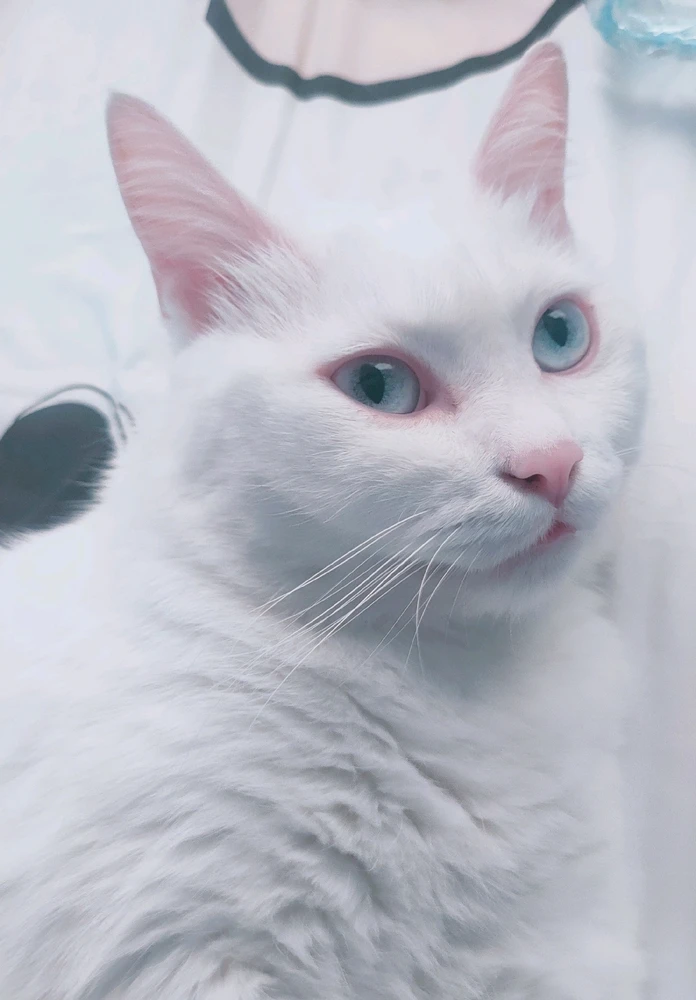 รูปที่อัพโหลดโดย Ben