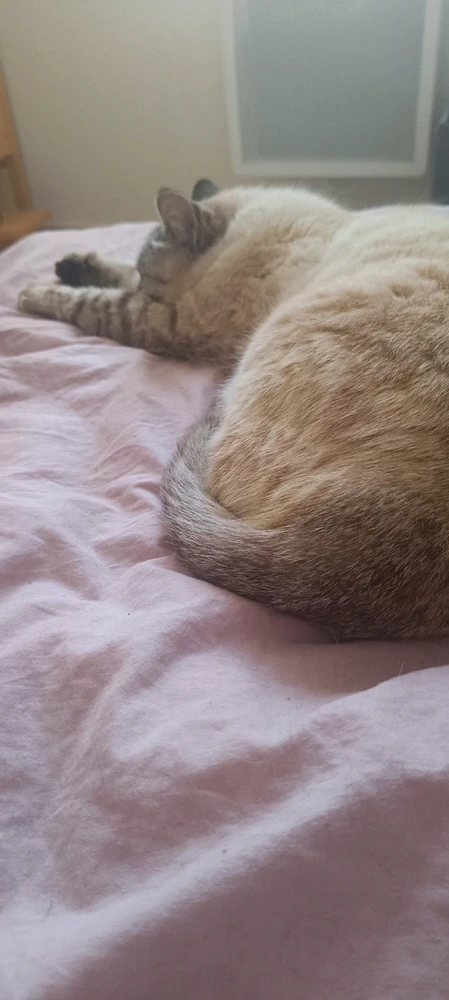 Image ajoutée par Sylvain