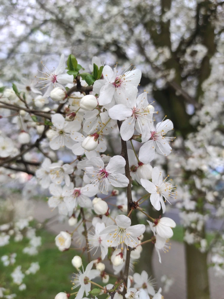 Zdjęcie dodane przez Weronika