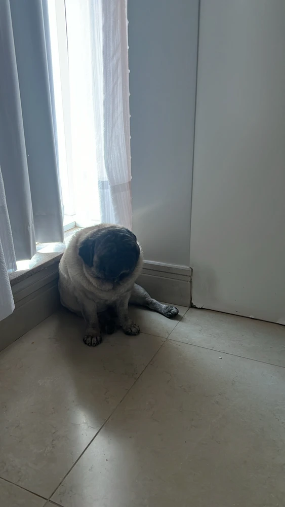 Imagem enviada por Pedro