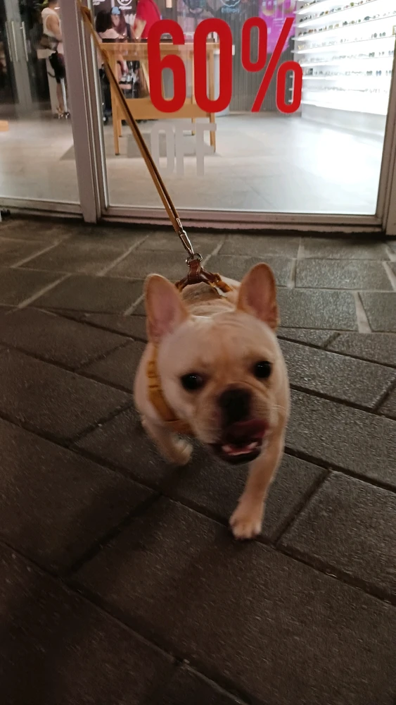 Image uploaded by Fen