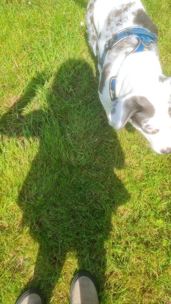 Bild hochgeladen von Wolfi