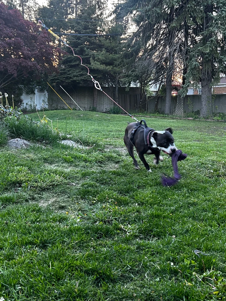 Image uploaded by colin