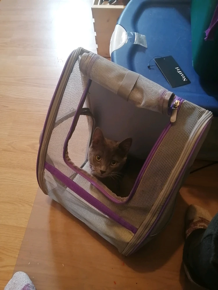 Image ajoutée par Laurianne