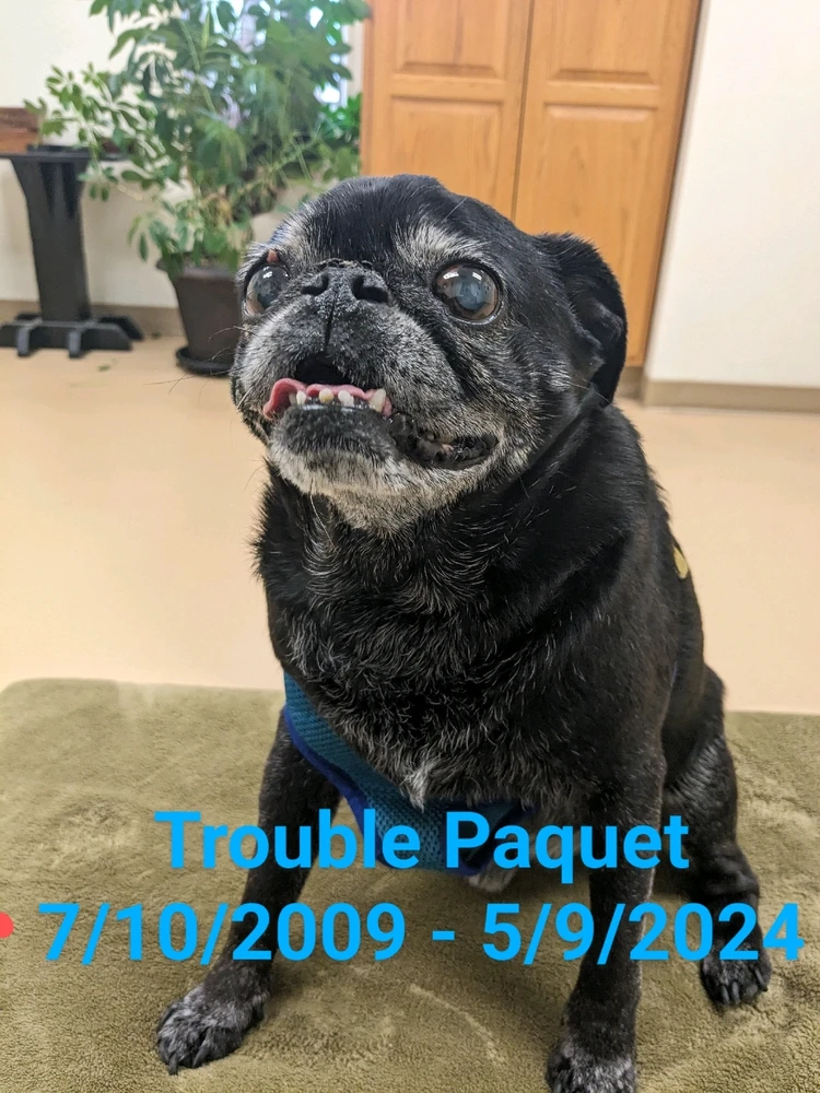 Image uploaded by Jay