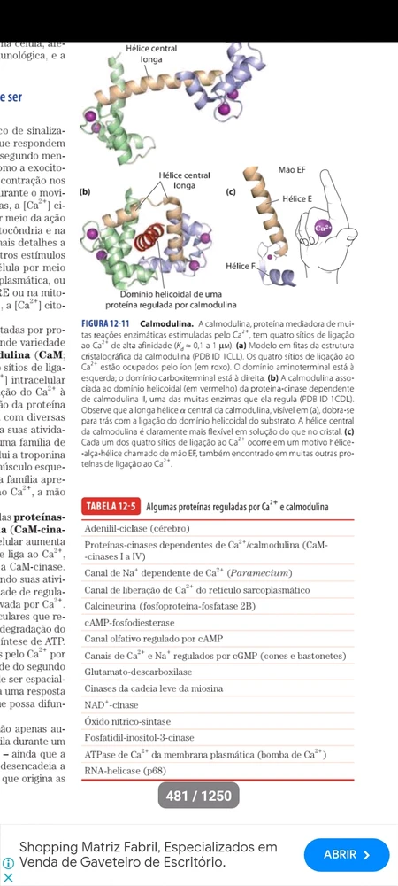 Image uploaded by Rodrigo