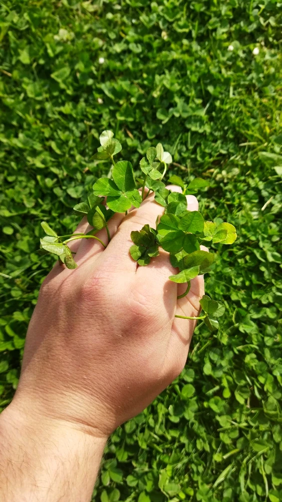 Obrázek nahrál Matěj