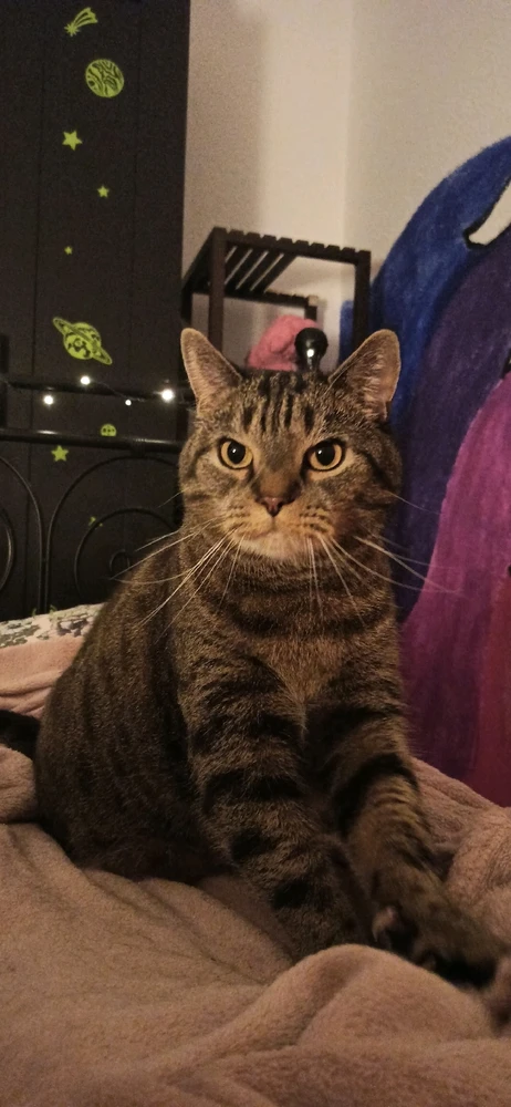 Bild hochgeladen von Sara