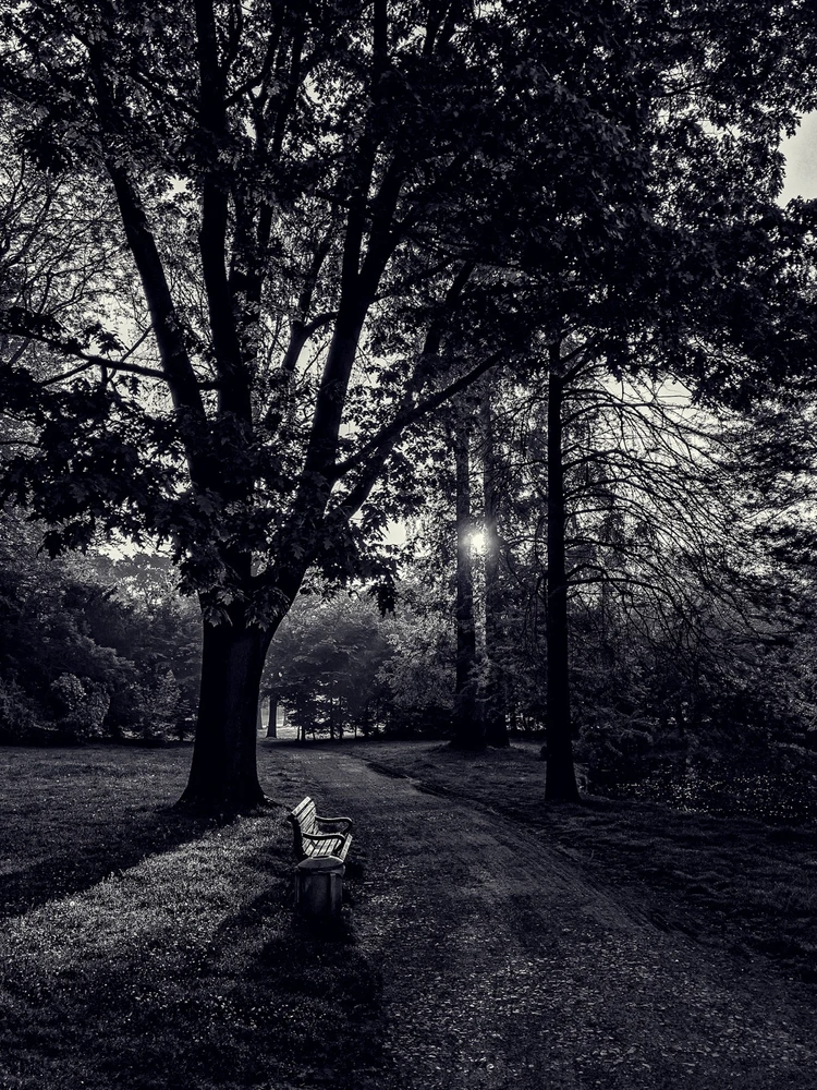 Bild hochgeladen von ￼Nia