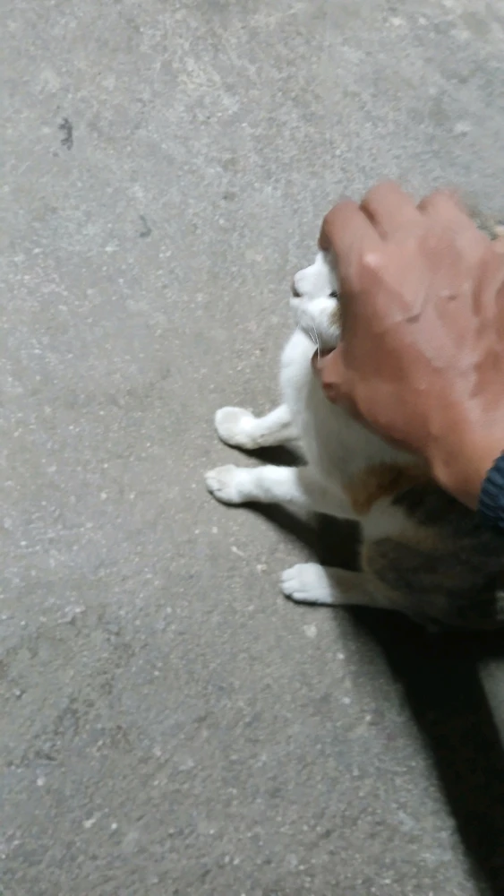 Image uploaded by Sonu