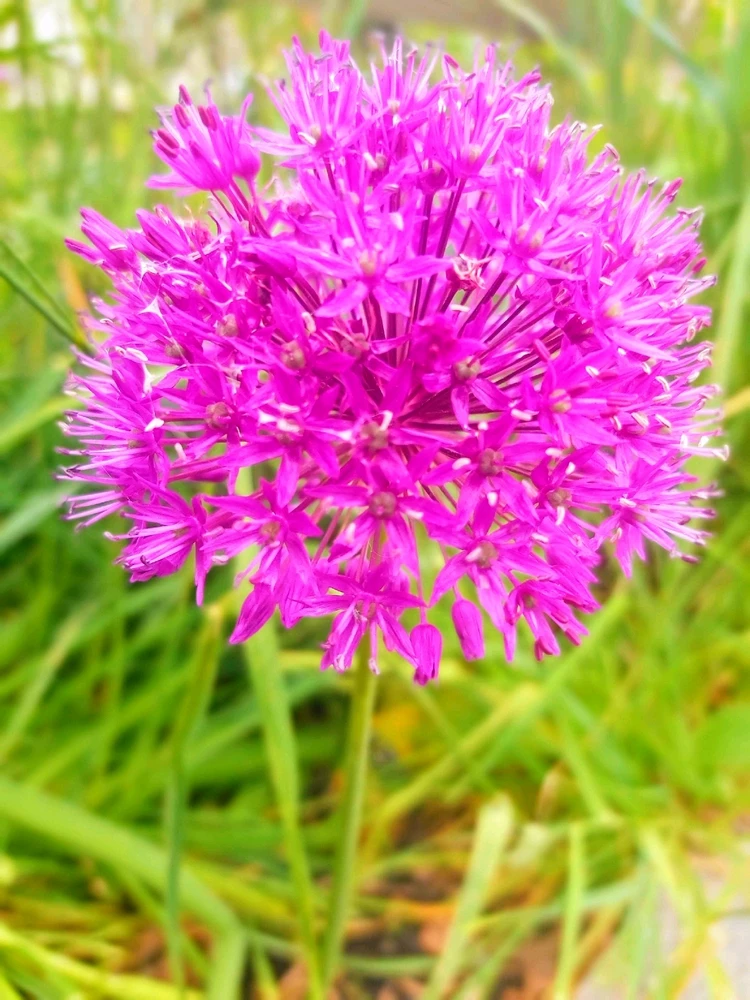 Image uploaded by Magda