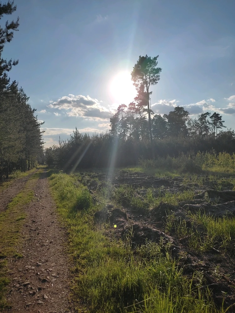 Obrázek nahrál Domča