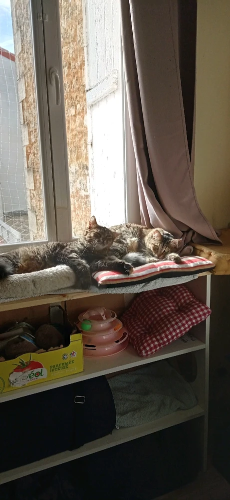 Image ajoutée par Terry