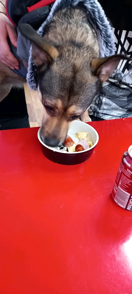 Image uploaded by Noah