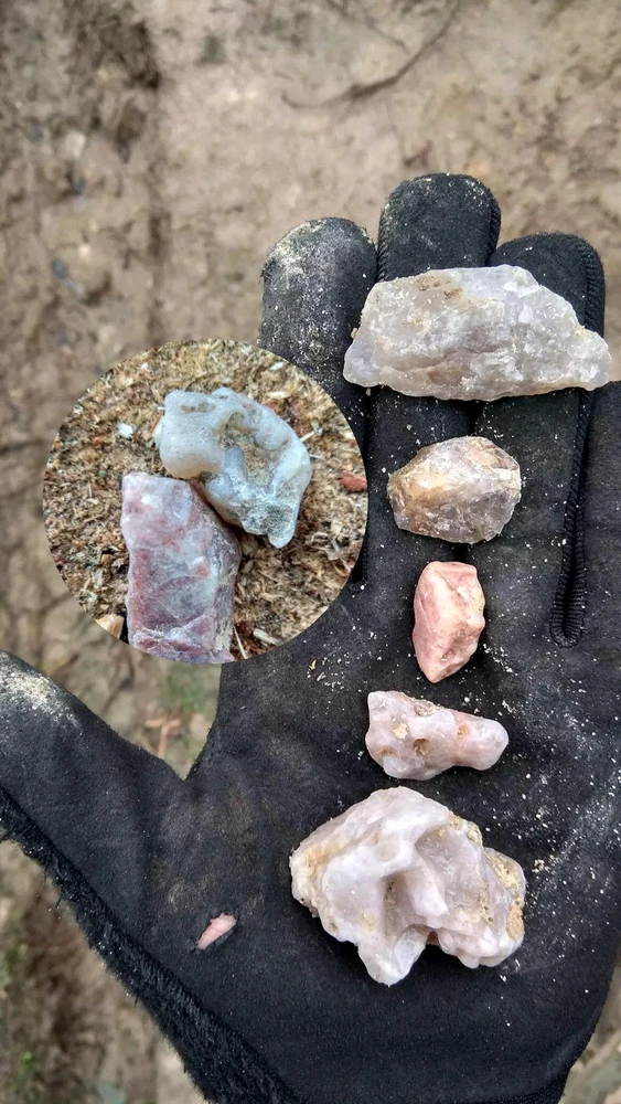 Зображення завантажив Goga