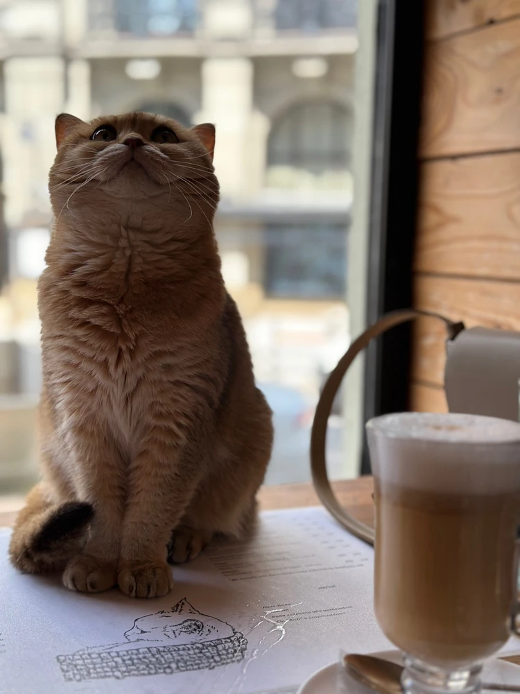 Зображення завантажив Daryna