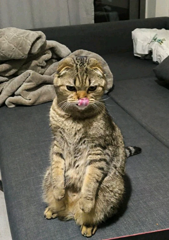 Çağatay tarafından yüklenen görsel