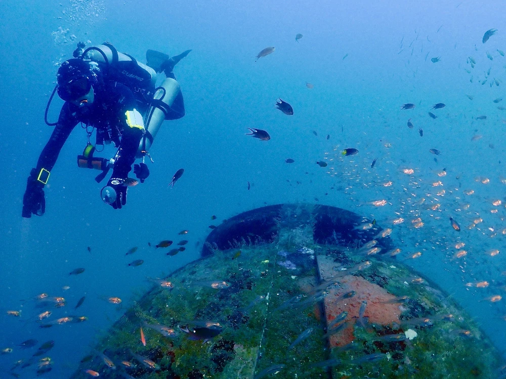 DH님이 올린 사진