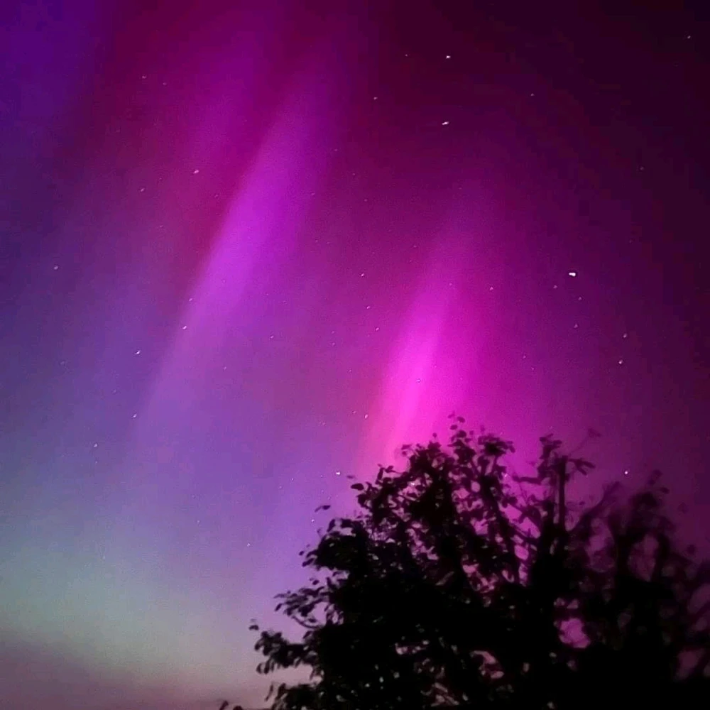 Image uploaded by Gypsy