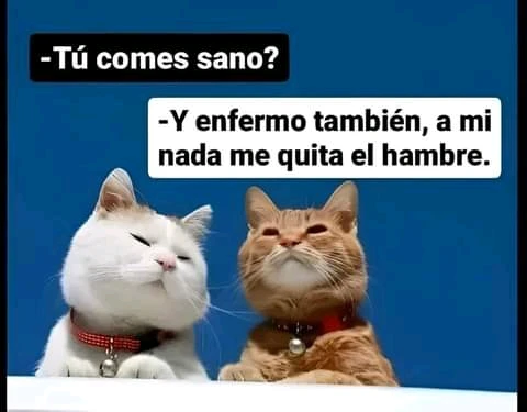 Imagen subida por Julio